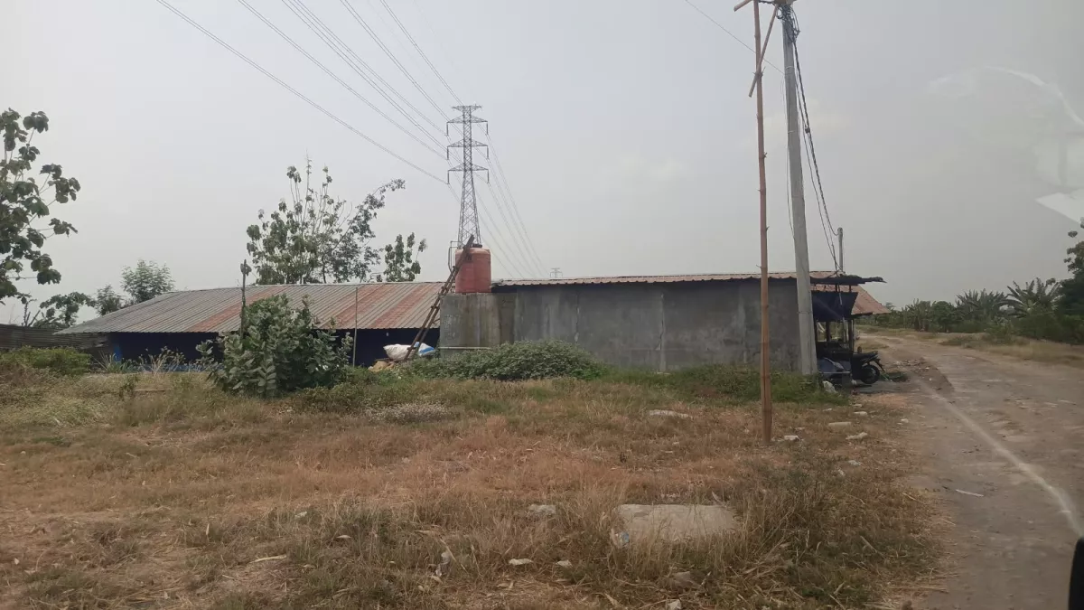 Bau Menyengat dari Kandang di Jombang Dikeluhkan Warga, LSM Pagar Desak DLH Turun Tangan