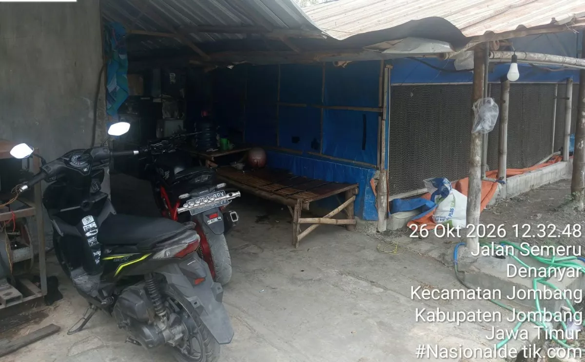 Kandang Ayam di Denanyar Jombang Disorot, Moden Akui Izin Belum Lengkap