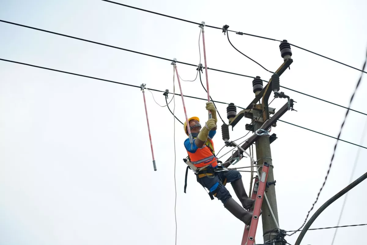 Semangat Hari Sumpah Pemuda, Rampingkan Anak Usaha, PLN Hadirkan PLN Services untuk Meningkatkan Layanan ke Masyarakat