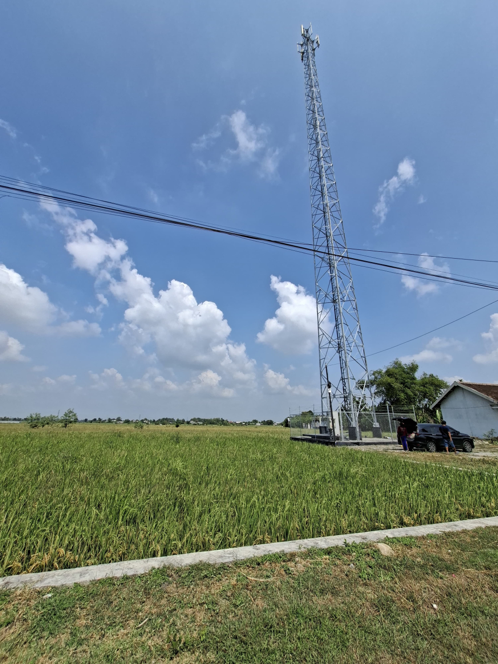 Tower Protelindo di Pacarpeluk Megaluh Jombang Terancam Dibongkar, Pemilik Lahan Desak Penyelesaian Administrasi