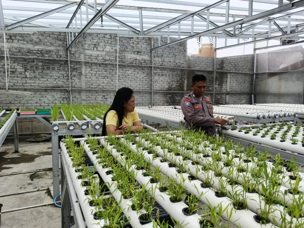 Bhabinkamtibmas Kedurus Dukung Pengembangan Pertanian Hidroponik, Panen Kangkung Dorong Peningkatan Ekonomi Masyarakat